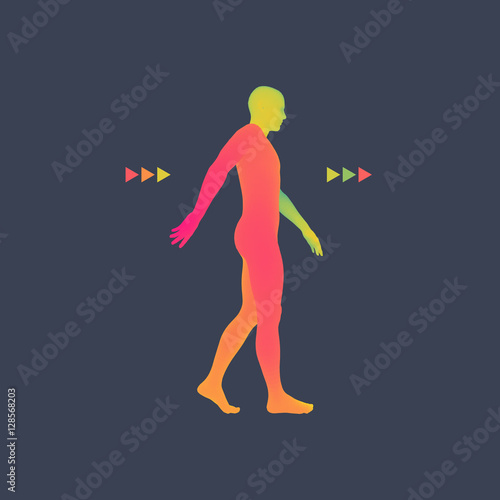 Walking Man. 3D Human Body Model. Design Element.
