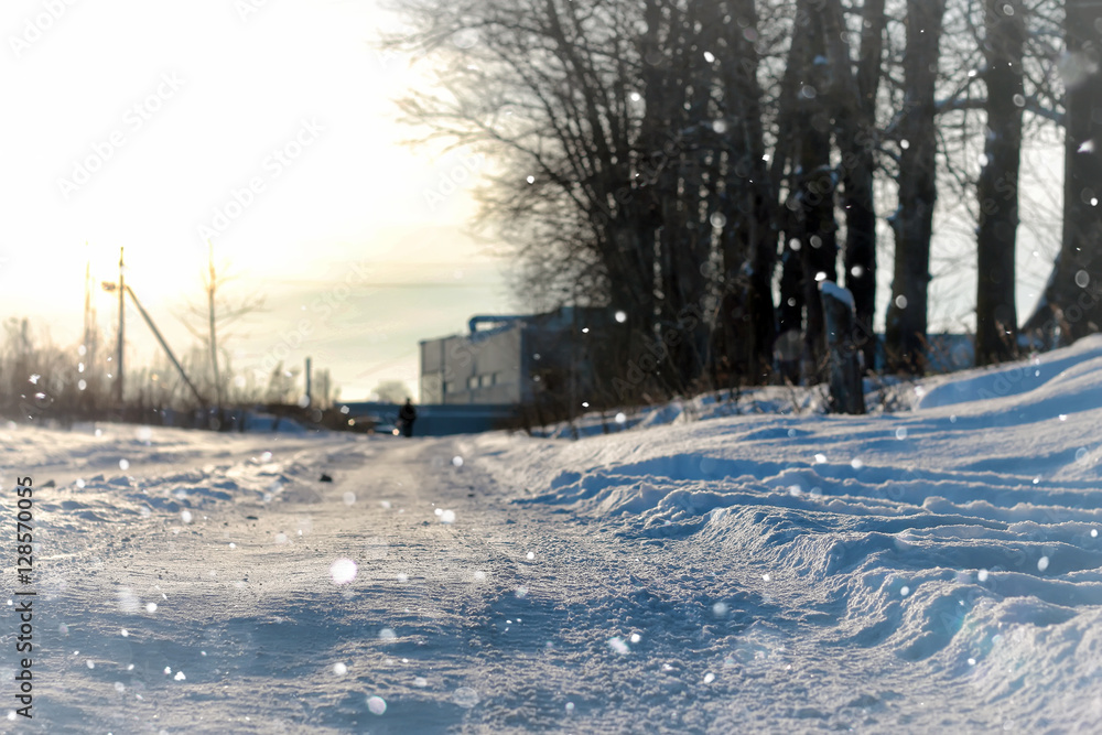 Naklejka premium lanscape alley tree winter