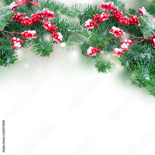 twig with red berries and evergreen fir tree twig over white background