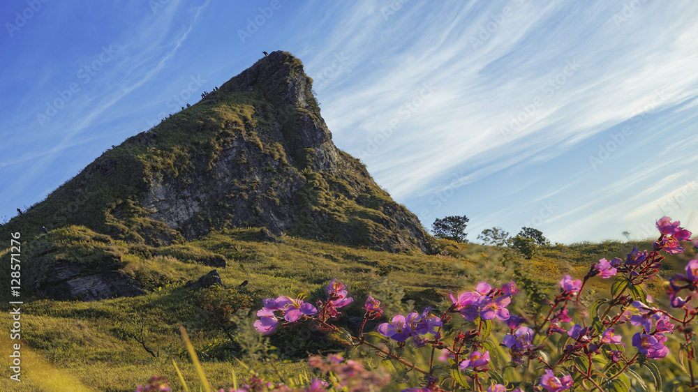 Obraz premium mountains