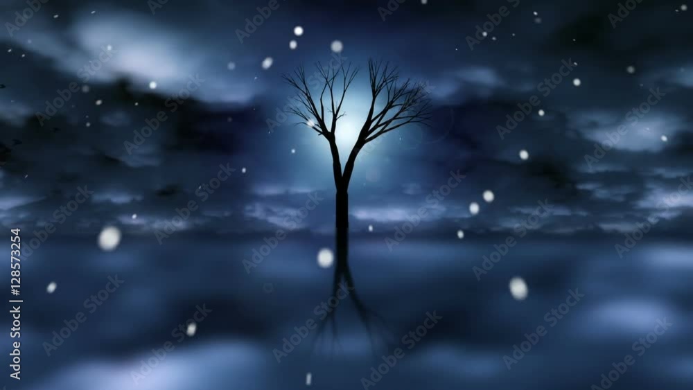 Snowy Winter Scene Timelapse And Flying Birds Snowy Winter Scene Timelapse And Flying Birds