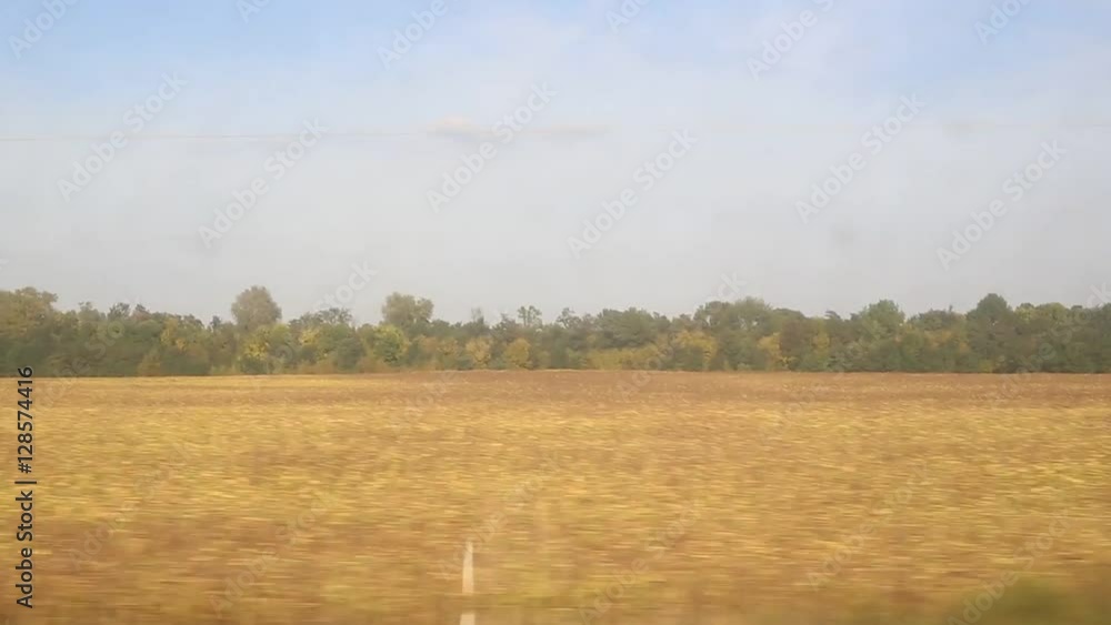 ride in the car on the country road along the yellow field and forest ride in the car on the country road along the yellow field and forest