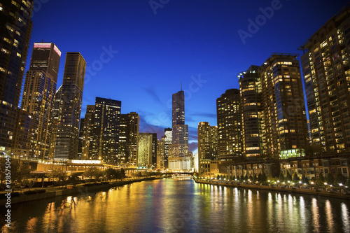 Skyline of Chicago along the river © Henryk Sadura