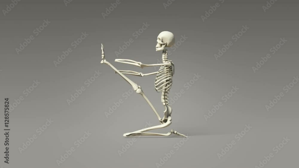 Yoga Heron Pose Of Human Skeletal Yoga Heron Pose Of Human Skeletal