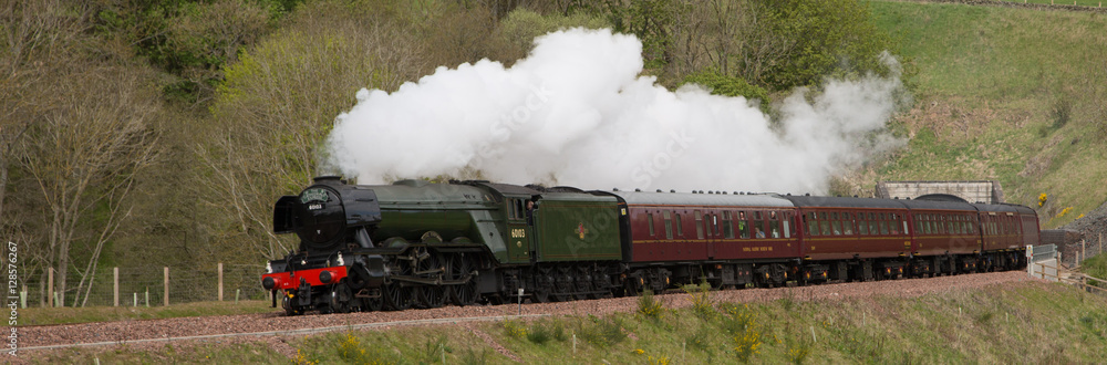 Fototapeta premium 60103 - the Flying Scotsman