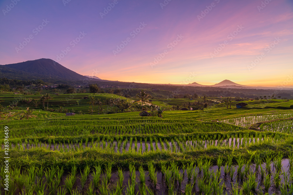 Beautiful sunrise over the Jatiluwih Rice Terraces in Bali, Indo