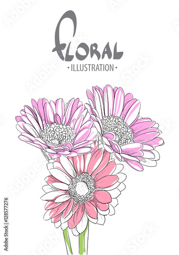 Beautiful gerbera closeup