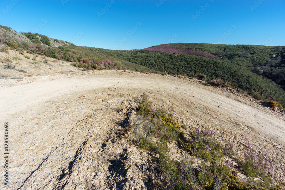 U-shape curved track in the wild