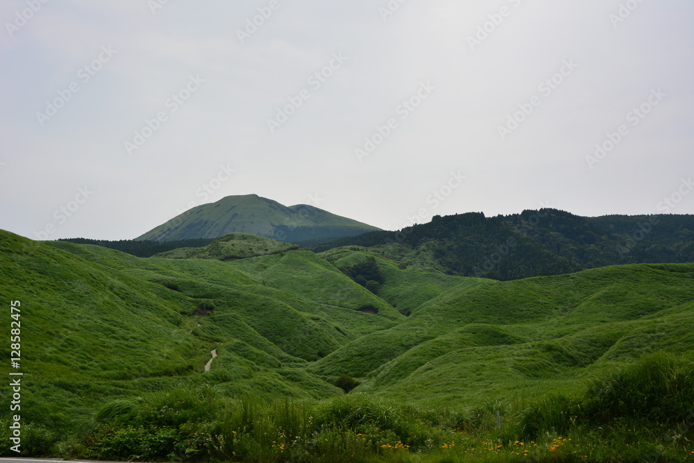 Nature, mountains,animals,reflection,landscape,garden. Nature, mountains,animals,reflection,landscape,garden.