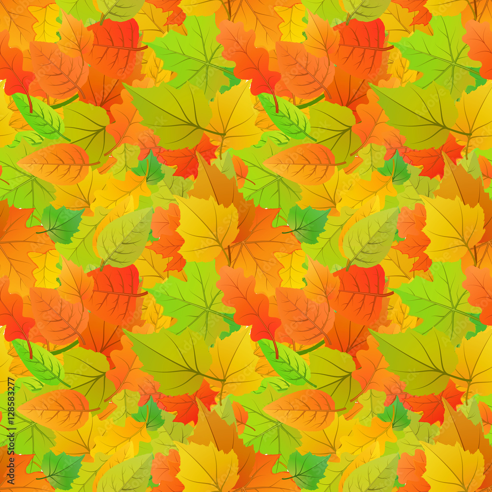 Cute autumn leaves from different kind of trees, seamless pattern