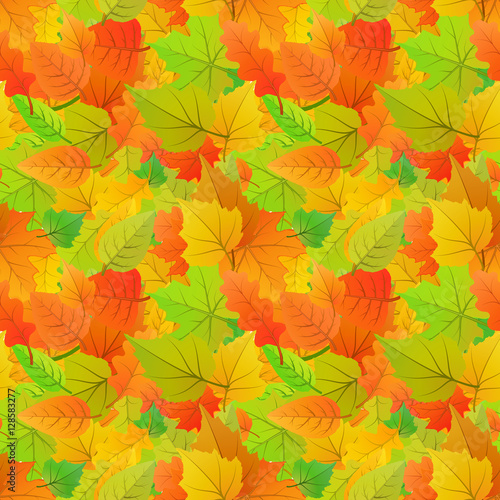 Cute autumn leaves from different kind of trees  seamless pattern