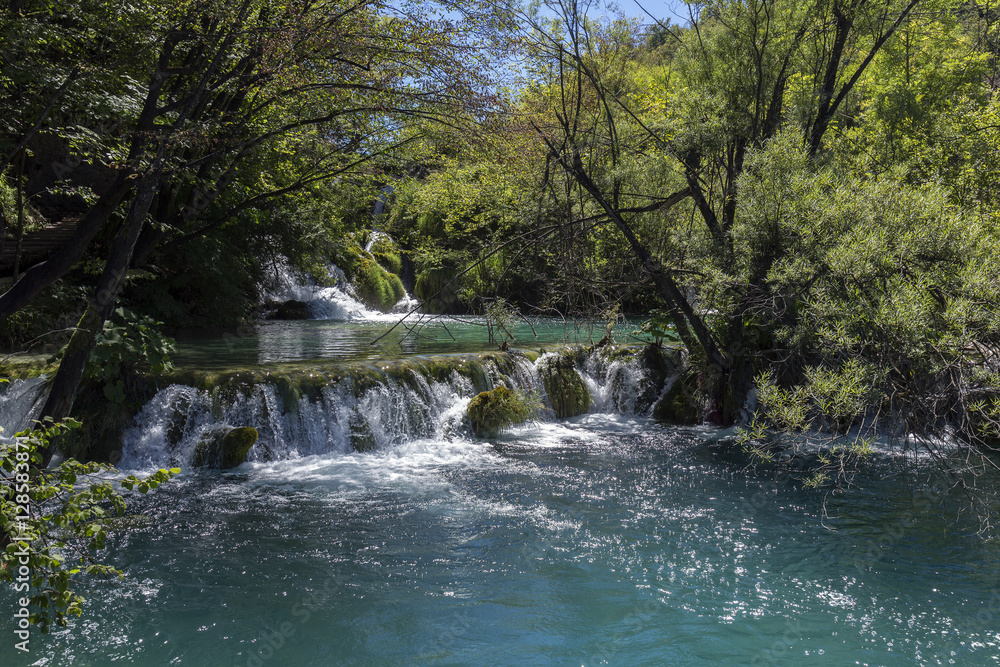 Fototapeta premium Plitvice Lakes National Park - Croatia