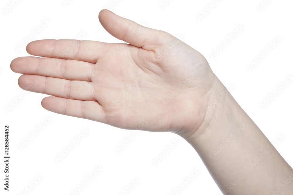 open hand gesture, isolated on white background open hand gesture, isolated on white background