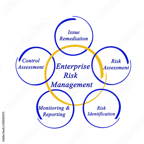 Enterprise Risk Management.