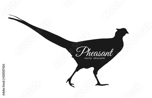 Vector illustration: silhouette of pheasant isolated on white background.