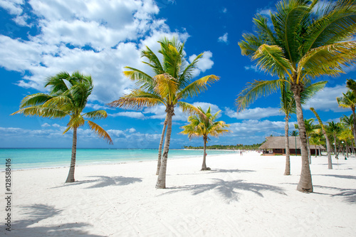  beach and tropical sea