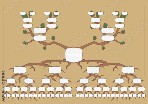 The genealogical tree