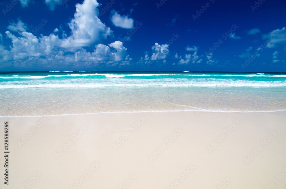 Fototapeta premium tropical sea