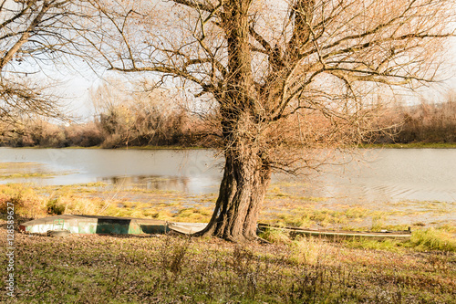 boats on the lake 