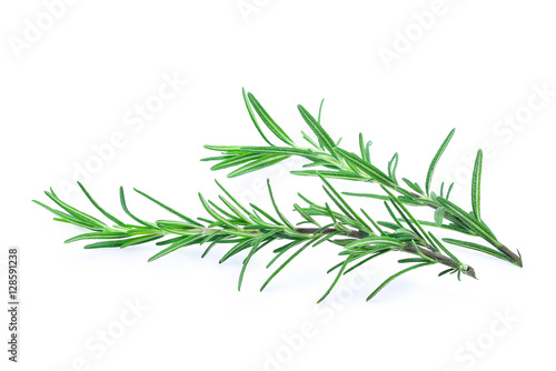fresh rosemary isolated on white background © boonchuay1970
