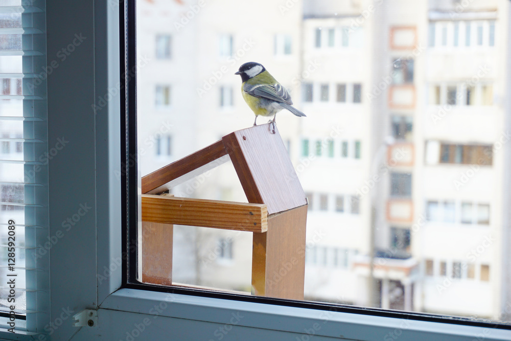 Fototapeta premium Winter feeding trough for tits on the window 