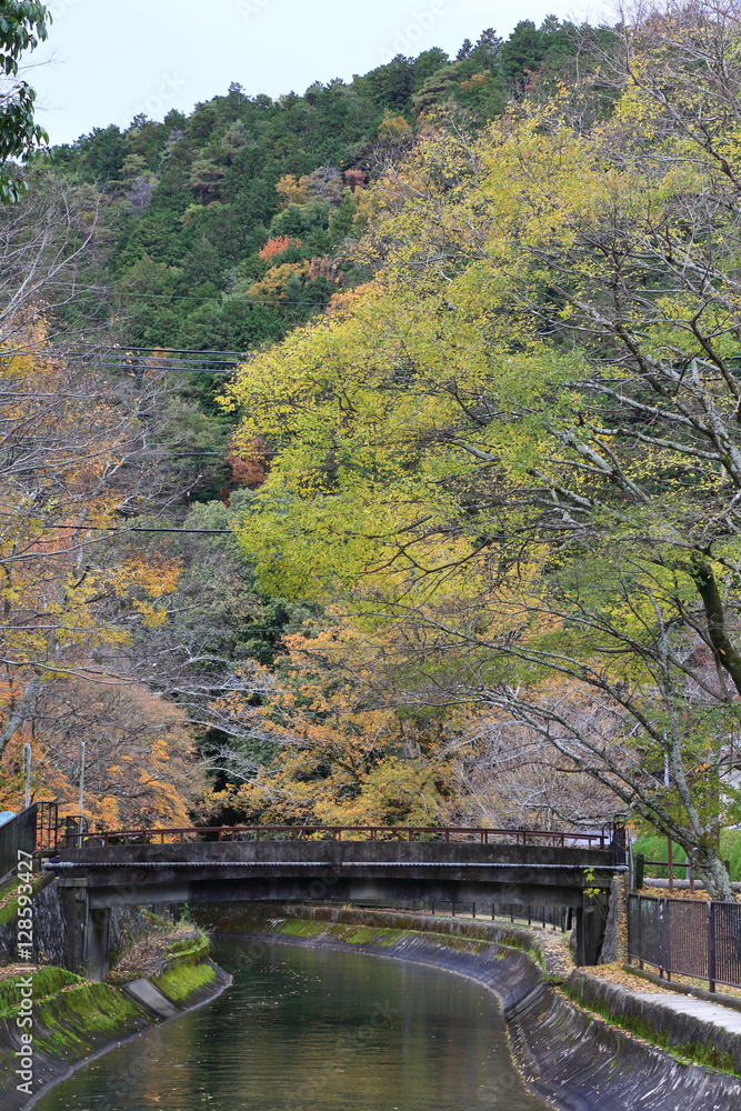 Japanese autumn