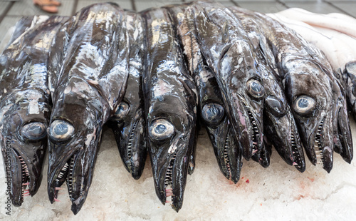 Fotografiet Fish on market, black scabbard (espada) in fish market