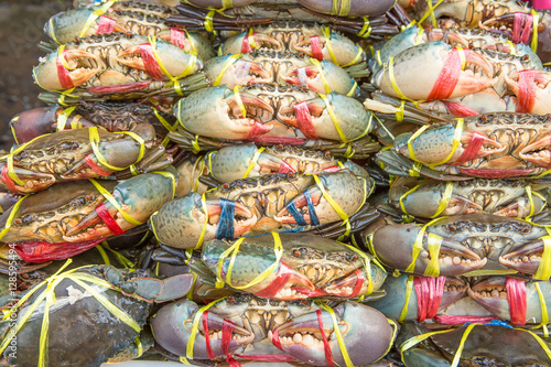Fresh crab sell at morning wet market