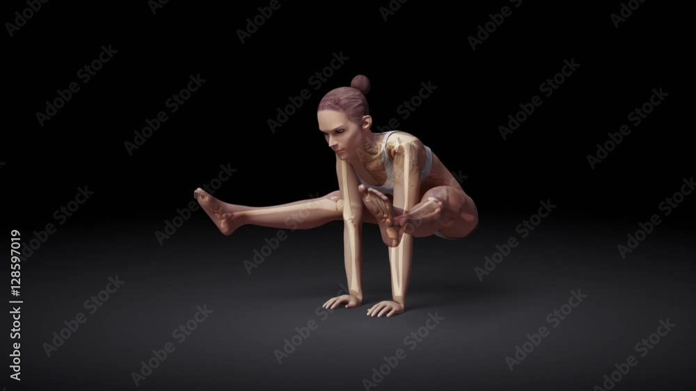 Yoga Firefly Pose Of Stretching Female With Visible Skeleton Yoga Firefly Pose Of Stretching Female With Visible Skeleton