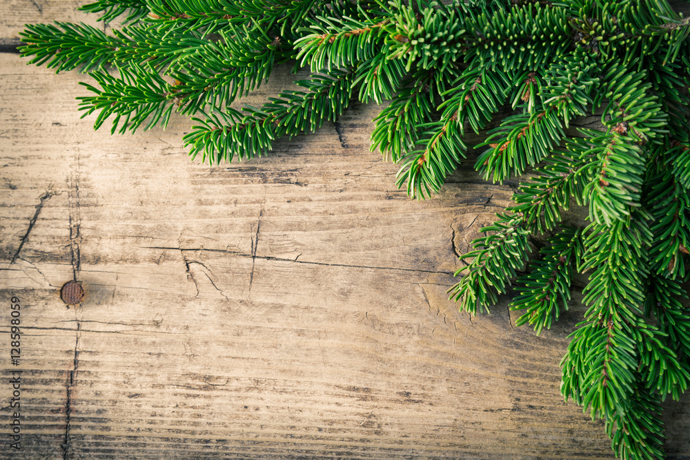 Christmas fir pine sprouns wooden background Christmas fir pine sprouns wooden background