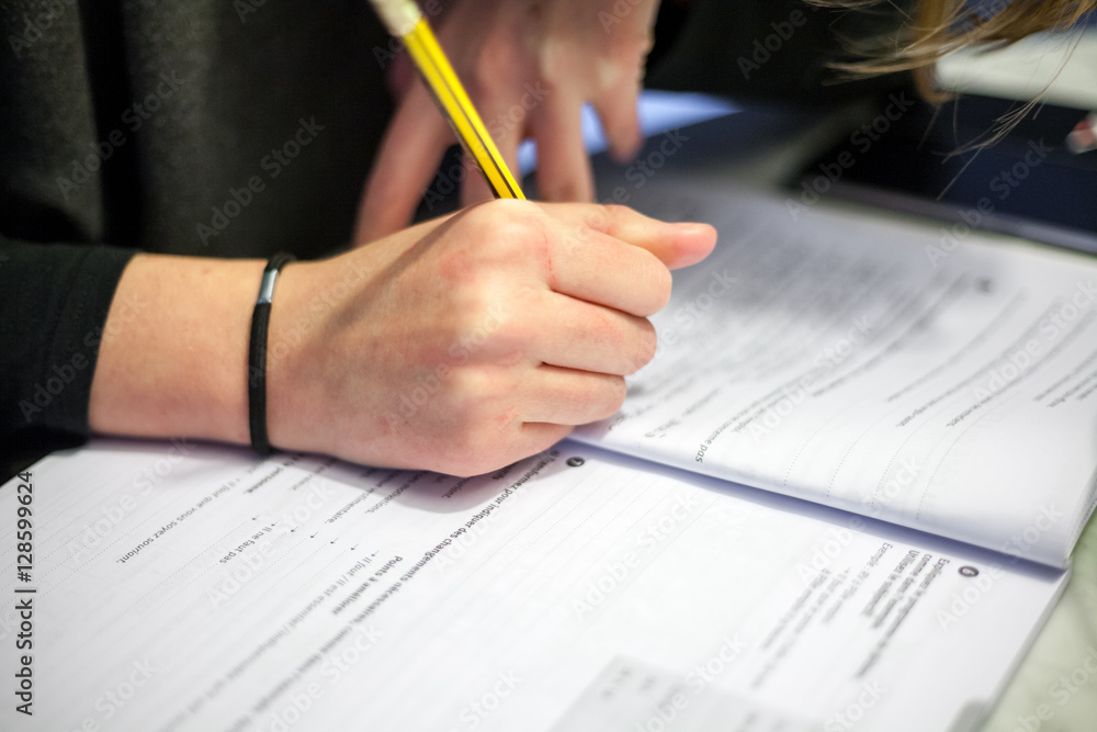 Girl making homework