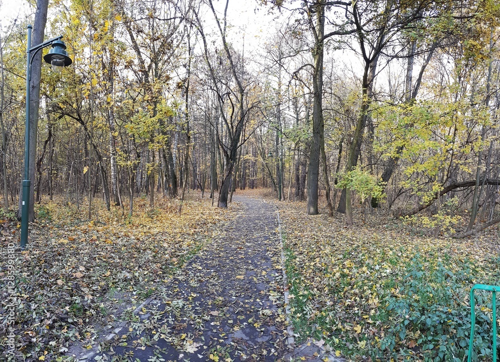 Park jesienią Park jesienią
