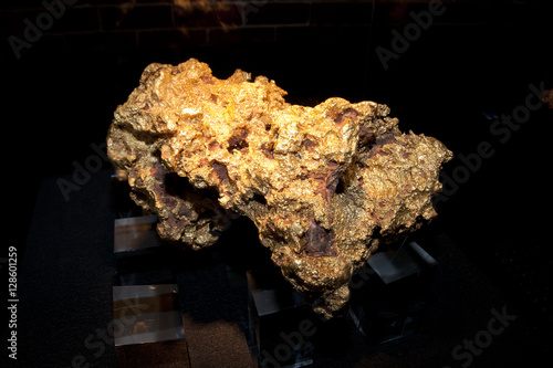 Normandy Gold Nugget (25kg) photo