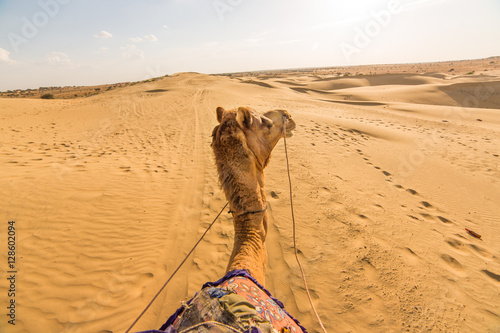 Camel rider view in Thar desert, Rajasthan, India