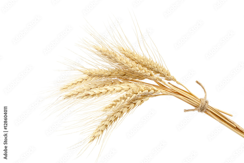Sheaf of wheat ears on white background. Sheaf of wheat ears on white background.