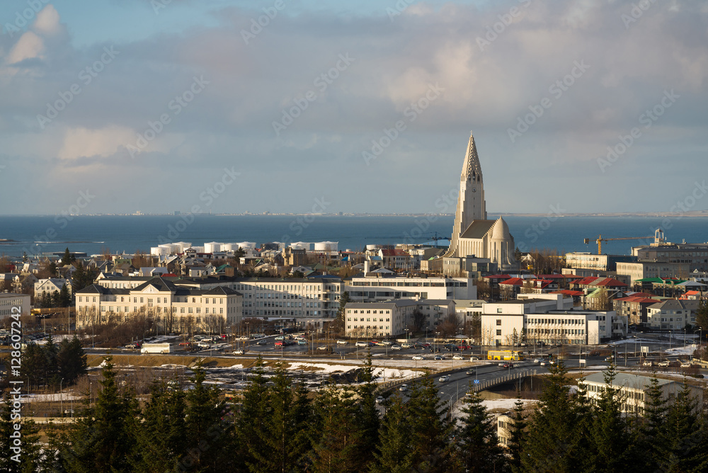 Reykjavik city panorama