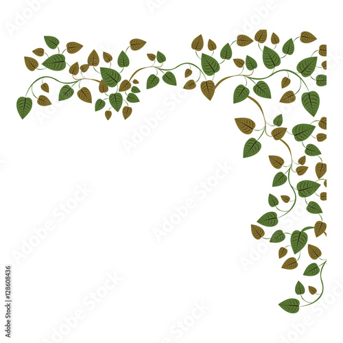 border side with ivy and leaves vector illustration