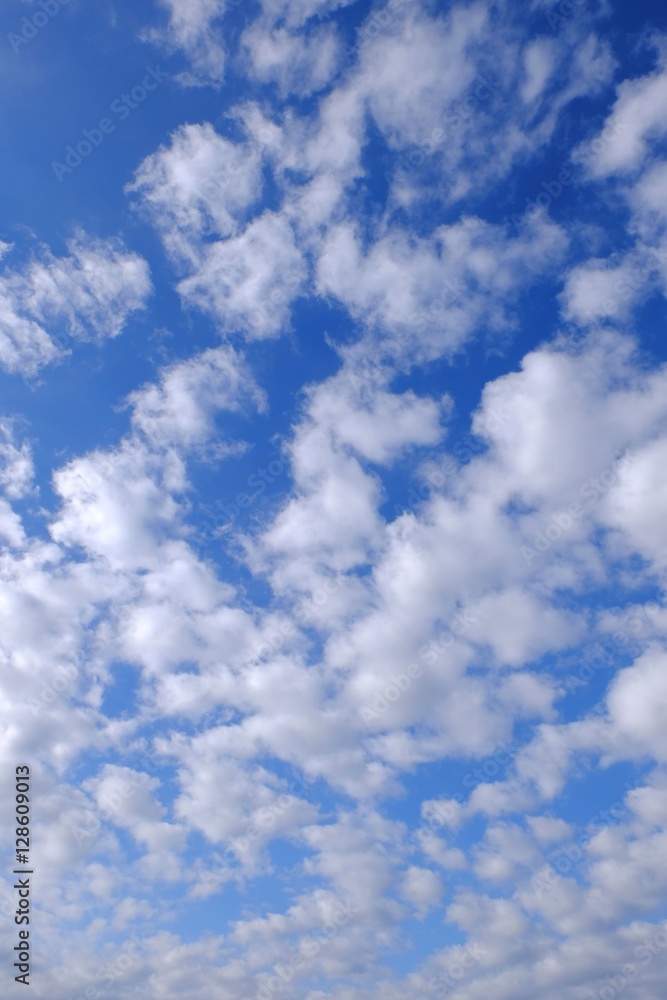 Fototapeta premium 鱗雲の背景イメージ