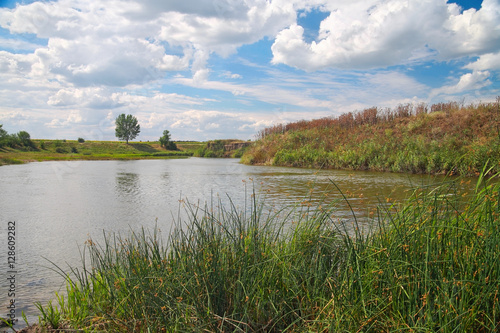 Rural landscape