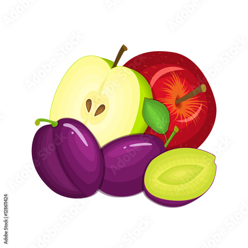 Composition of several plums and apples. Ripe vector fruits whole and slice appetizing looking. Group of tasty fruits for design the packaging of juice, breakfast, healthy eating, vegetarianism