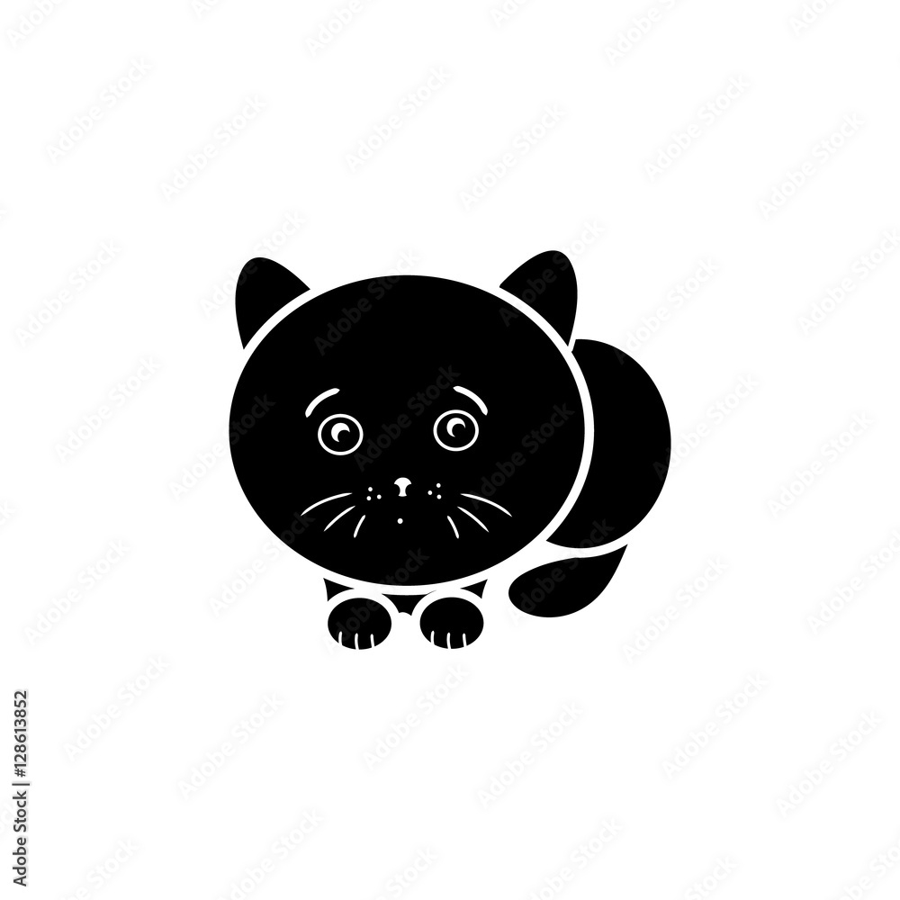 Obraz premium Black kitten abstraction