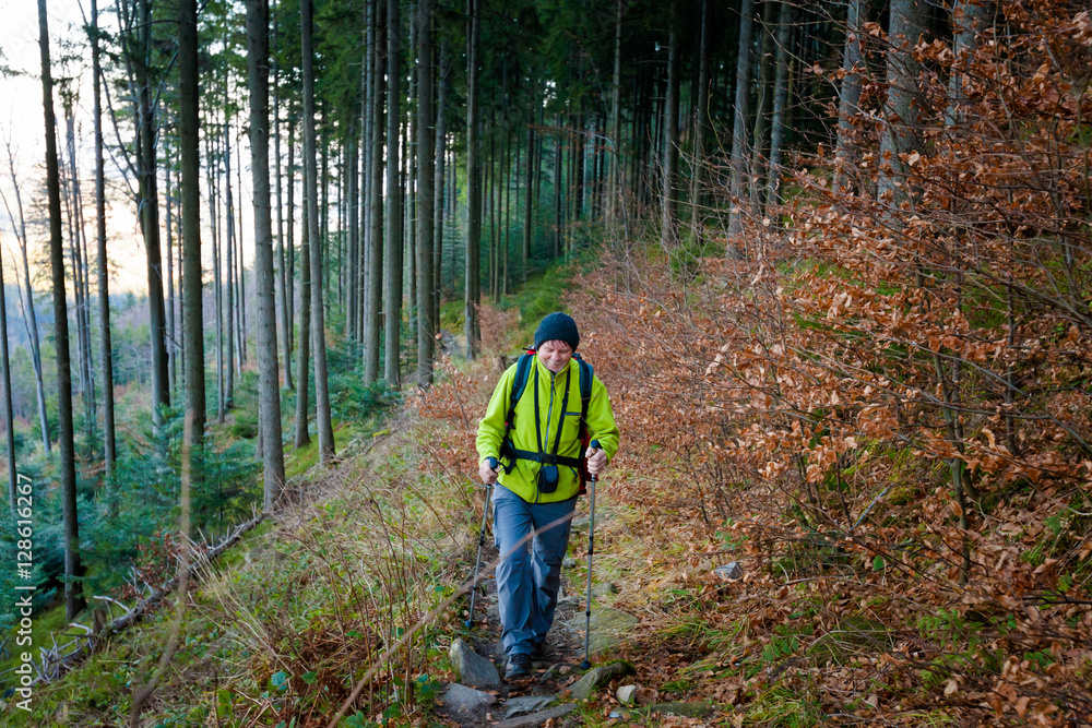 Obraz premium Tourist trekking in Beautiful Beskidy mountains