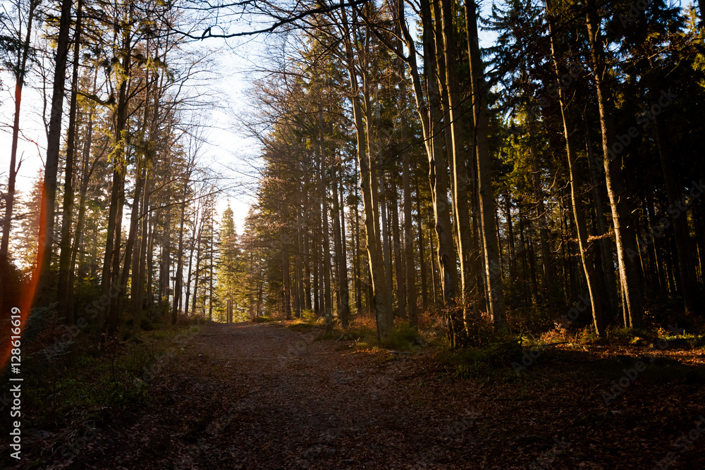 Beautiful autumn Beskidy mountains landscape