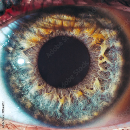 Fotografie, Obraz Macro eyes pupil iris oculist blue yellow