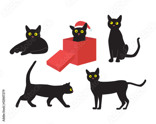 Black cats with one sitting in a red box, wearing santa hat
