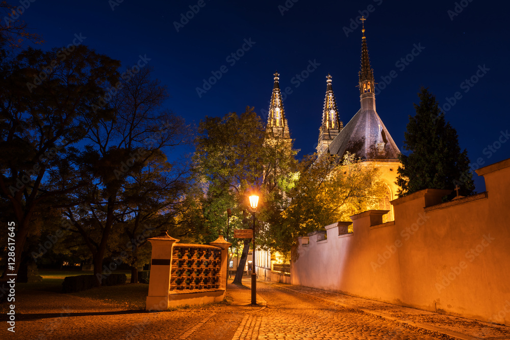 Naklejka premium Vysehrad church of St. Peter and St. Paul and park at night, Prague, Czech Republic