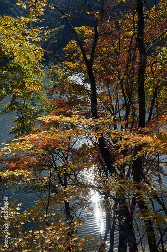 紅葉の湖　福井県大野市笹生川貯水池 © Nature K Photostudio