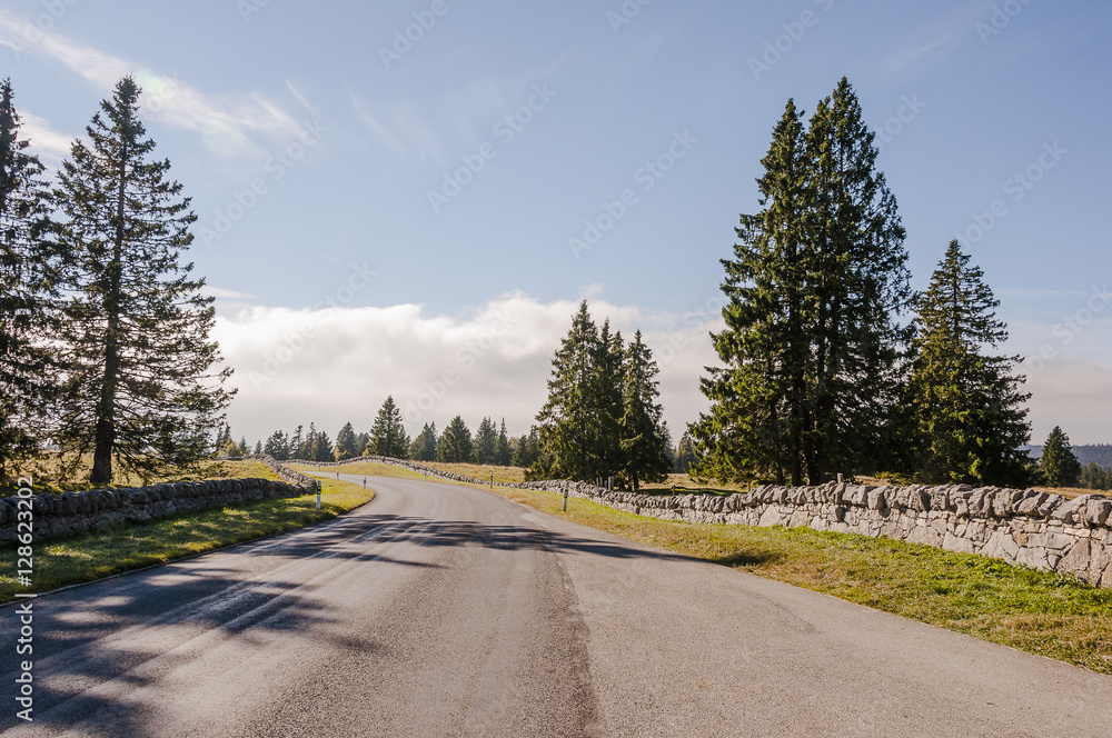 Fototapeta premium Le Brassus, Dorf,, Vallée de Joux, Passstrasse, Bergstrasse, Jura, Wanderweg, Col du Marchairuz, Herbst, Herbstwanderung, Schweiz