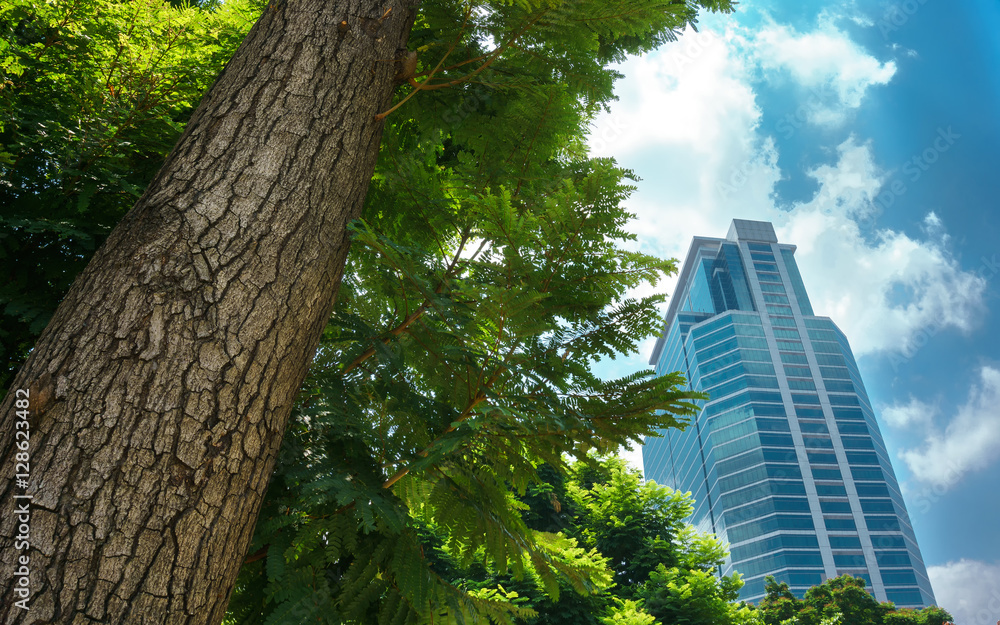 Fototapeta premium concept image of grren environment and advancement city