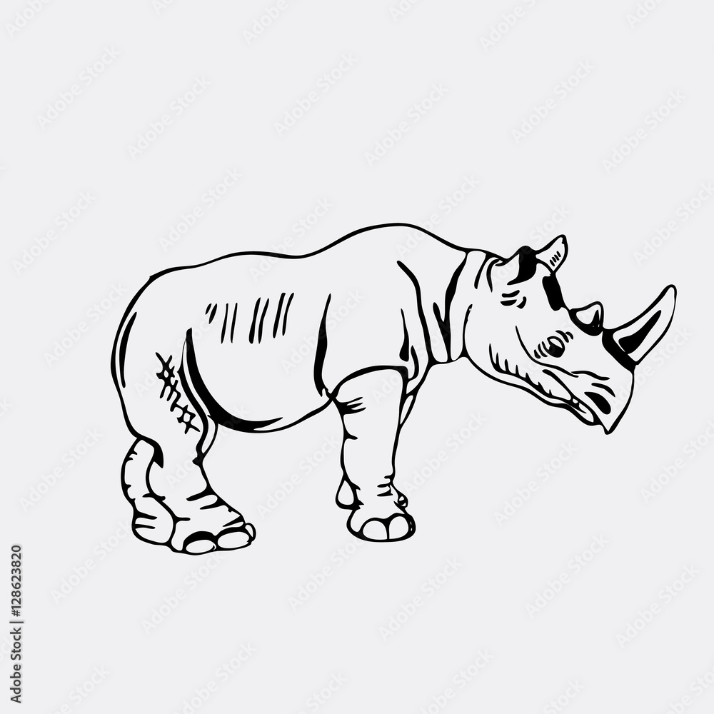Hand-drawn pencil graphics, rhinoceros. Engraving, stencil style. Hand-drawn pencil graphics, rhinoceros. Engraving, stencil style.